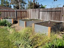 If you are installing the irrigation system, then you probably have to start by laying that out and leaving it to cure whilst you build the actual beds. Corrugated Metal Raised Beds Diy Laptrinhx News
