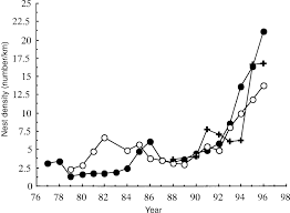 The hawksbill turtle (eretmochelys imbricata) is one of the seven species of marine turtles and one of six in the family cheloniidae. Recovery Of Hawksbill Turtles Eretmochelys Imbricata In Mexico Download Scientific Diagram