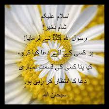 Maybe you would like to learn more about one of these? Ø´Ø§Ù… Ø¨Ø®ÛŒØ± Good Night Flowers Good Morning Image Quotes Good Night Gif