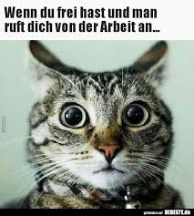 Wenn Du Frei Hast Und Man Ruft Dich Von Der Arbeit An Lustige Bilder Spruche Witze Echt Lustig Arbeit Lustig Lustig Humor Lustige Beitrage
