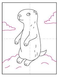 Learn more about a dog's color vision, night vision and visual sharpness. How To Draw A Prairie Dog Art Projects For Kids