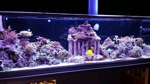 Tank Decor Roman Columns Saltwater Tank Roman Columns Saltwater