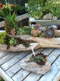 50 Ways Of Creating An Enchanted Succulent Garden In Your Backyard Garten Dekoration Sukkulenten Pflanzen Garten Sukkulenten