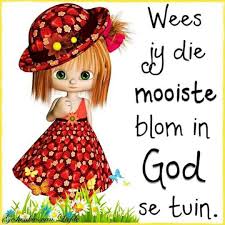 Pin By Benjamin Heunes On Goeie More Nag Lekker Slaap Good Morning Wishes Afrikaans Novelty Christmas