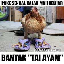 We did not find results for: Gambar Editan Lucu Keren Gokil Terbaru Gambar Lucu Lucu Meme Hewan Lucu