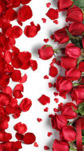 Pin On Love