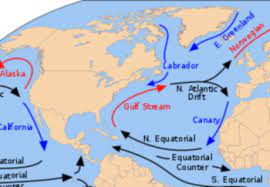 The current stretches from the gulf . What Would Happen To The U K And Europe If The Gulf Stream Stopped Quora