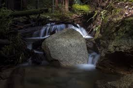Henry cowell redwoods state park campground felton california. Henry Cowell Park Running Trail Felton California
