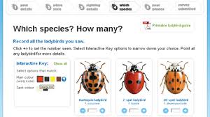 Bbc Breathing Places Ladybird Survey