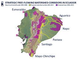 Look through examples of ecuadorian translation in sentences, listen to pronunciation and learn grammar. Ecuadorian Rivers Institute
