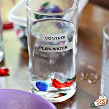 Our story times always have the same parts; Salt Water Experiment Ocean Science For Kids The Science Kiddo