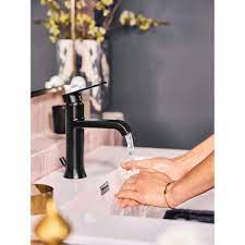 Moen Genta Single Handle Hole