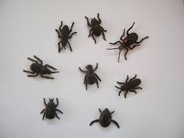 Insectes Noirs Avec De Petites Tetes Avec De Grands Yeux Ronds Photo Stock Image Du Noirs Insectes 154264226