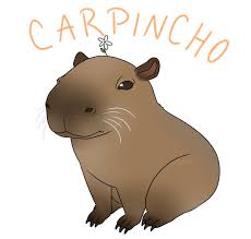 Maybe you would like to learn more about one of these? Mathias On Twitter Dibujo De Un Carpincho Es Lo Mas Lindo Que Veras Hoy