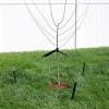 Staking and planting fruit select a fine day for planting when the soil is not sticky. 1