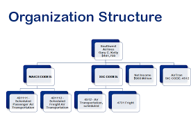 organizational structure analysis for southwest airlines co