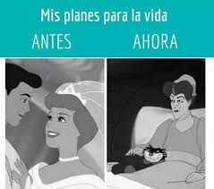 Las Prioridades Y Las Metas En La Vida Cambian Mucho Humor Memes Movie Posters