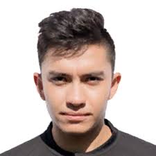 Franz Simon Gonzales Mejía