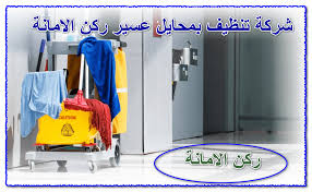 شركة تنظيف بمحايل عسير 0535304912 تنظيف منازل وشقق للإيجار