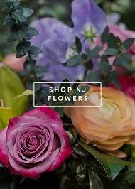 Maybe you would like to learn more about one of these? New Jersey Delivery Plantshed Com