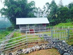 Check spelling or type a new query. Bangun Kandang Kambing Dari Baja Ringan Dukung Gerakan Ramah Lingkungan Kepuh Kencana Arum