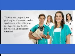 El día del médico veterinario se conmemora en el perú cada 08 de julio. Dia Del Medico Veterinario