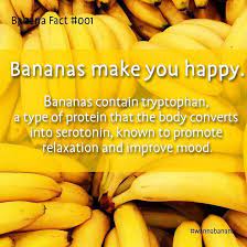 Pin On Herbalism Studies