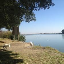 Read reviews, see photos and more. Photos At Brannan Island State Recreation Area 4 Tips From 355 Visitors
