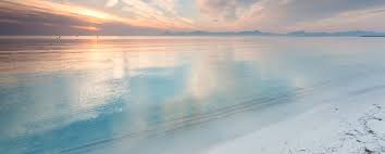 We did not find results for: Playa De Muro Hotel Playa Esperanza Resort Majorca