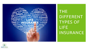 It is sometimes called pure life insurance because, unlike whole life insurance, there's no cash value to the policy. Types Of Life Insurance Policies Term Permanent