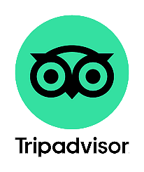 Tripadvisor full round logo transparent PNG - StickPNG