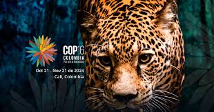 COP 16 - Paz con la Naturaleza