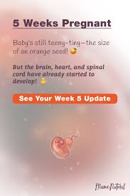 Pin On Natural Pregnancy Week By Week