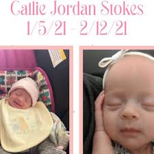 Fundraiser for Casey Stokes by Amanda Michalak : Callie's Funeral Expenses