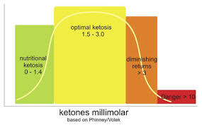 How To Lose Weight By Achieving Optimal Ketosis