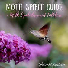 Black And White Spotted Moth Meaning The Moth Spirit Guide Brings Lessons Of Self Exploration And Transformation Read Black Moth Symbolism White Moth Meaning B Moth Symbolism Moth Spirit Guides