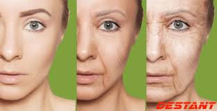 Peggy Headrick (headrick681)