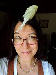 Daisy Fields: Matsui, Maki: 9798684978036: Amazon.com: Books