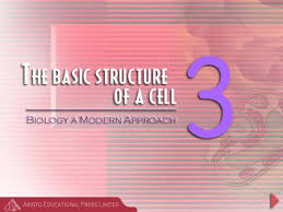 Does the cellular respiration of the cell by converting glucose into. Animal Cells Part Name Function A B C D Ch1 Ppt Video Online Download