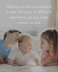 They put a spotlight on the best parts of having brothers and sisters, and find the humor in the less happy moments. 100 Best Quotes About Siblings And Their Bond With Images