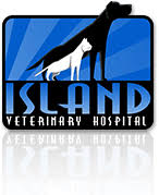 We did not find results for: Vet Clinic In Richmond Your Local Vet Clinic Island Veterinary Hospital