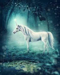 Many people distingush unicorns differently. Unicorn All Creatures Animal Clinic