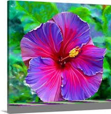 Check spelling or type a new query. 12 Best Blue Hibiscus Ideas Hibiscus Blue Hibiscus Planting Flowers