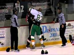 Father, boxer, martial artist, hockey player. Donald Brashear