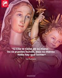 Las últimas palabras que pronunció el Papa Emérito fueron '¡Signore, ti  amo!' (¡Señor, te amo!)”. En el momento en que las dijo, un enfermero  estaba presente. Las pronunció hacia las 3am y