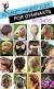 Cute Short Hairstyles For Dance