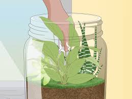 We did not find results for: How To Grow A Garden In A Bottle With Pictures Wikihow