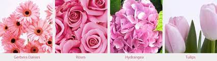 The atlantic ocean and the indian ocean meet at the hi planning to come to south africa by mid january 2021but am not sure if is good time due to this. Choosing The Right Colour Flowers For Your Wedding Inmotion Flowers