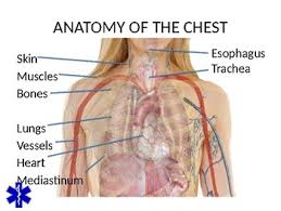 Stability to arm and shoulder movement; Emt Emr Chest Trauma Ppt Training Presentation By Bruce Vincent Tpt