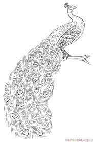 Pin On How To Draw For My Students